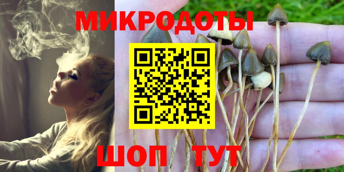 Чита  Псилоцибиновые грибы Psilocybe  Вход с VPN 