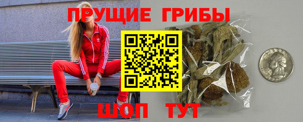 Галлюциногенные грибы Psilocybe Чита